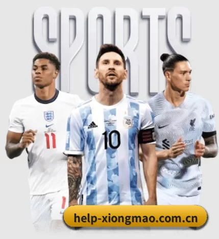 五大服务分区,信息按项目分类 - 多运动项目内容板块
